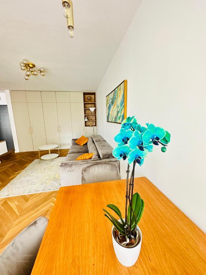 Bel Dom - The Central, Spacious 2 Rooms Luxury Apartment Cluj-Napoca Extérieur photo